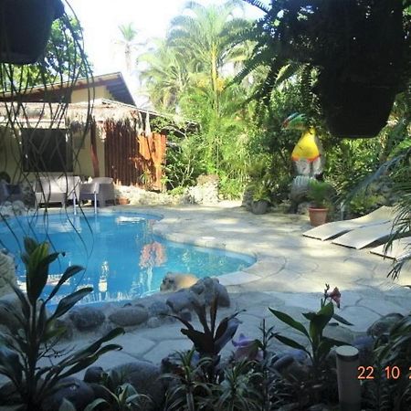 Hotel Caribbean Coconut Cahuita Exterior foto